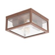 Industrialna-lampa-sufitowa-rdzawo-brązowa-IP44-2-światła---Charlois