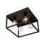 Plafoniera-industriale-nera-40-cm-4-luci---Cage