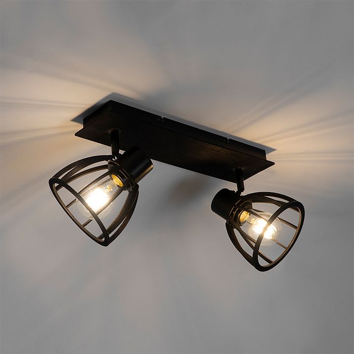Industrial Ceiling Light Black 2-Light - Fotu