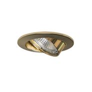 Smarter-Einbaustrahler-Gold-Verstellbar-inkl.-Wifi-GU10---Edu