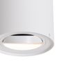 Modern-Ceiling-Spotlight-White-Rotatable-and-Tiltable-AR70---Rondoo-Up