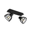 Industrial-Ceiling-Light-Black-2-Light---Fotu