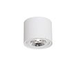 Spot-de-plafond-intelligent-blanc-rotatif-et-inclinable-avec-Wifi-GU10-111mm---Rondoo-Up