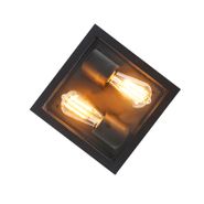 Przemysłowa-lampa-sufitowa-czarna-IP44-2-punktowa---Charlois