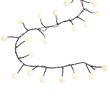 Christmas-String-Lights-Green-with-100-LEDs-White-5m-IP44---Dasher
