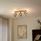 Moderne spot hout met smoke glas 3-lichts draai- en kantelbaar - Gracy