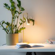 Modern-Table-Lamp-Brass-Adjustable---Java