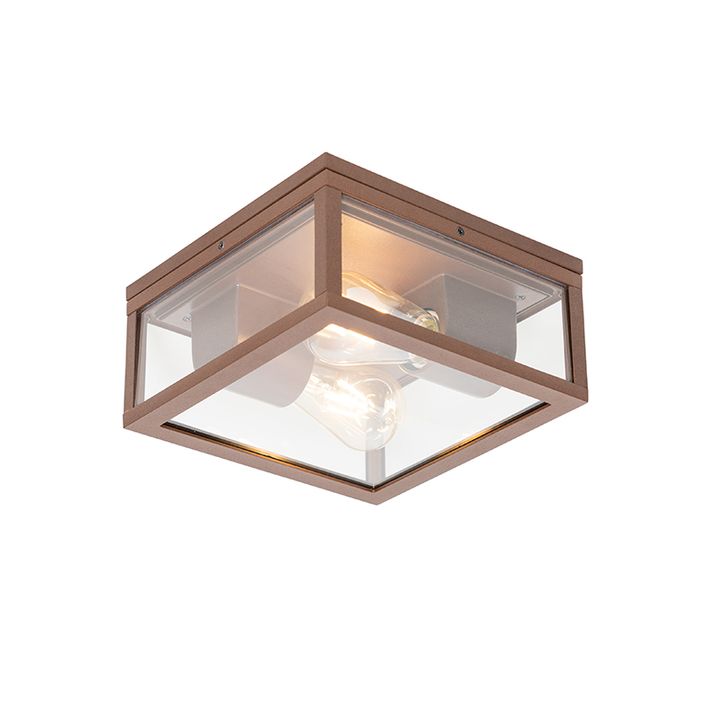 Industrijska plafonska lampa rđasto braon IP44 2-svetla - Charlois