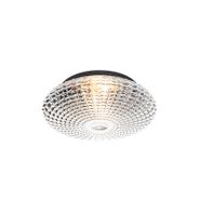 Klasyczna-lampa-sufitowa-czarna-z-przydymionym-szkłem-35-cm-IP44---Nohmi