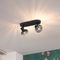 Rounded Ceiling Spotlight Black with Smoke Glass 2-Light - Teddy