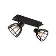Industrial-Ceiling-Light-Black-2-Light---Fotu
