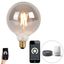 Smart-E27-LED-lamp-G125-smoke-7W-400-lm-1800-3000K