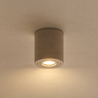 Modern-Ceiling-Spotlight-Taupe-GU10-50mm-IP44---Capa