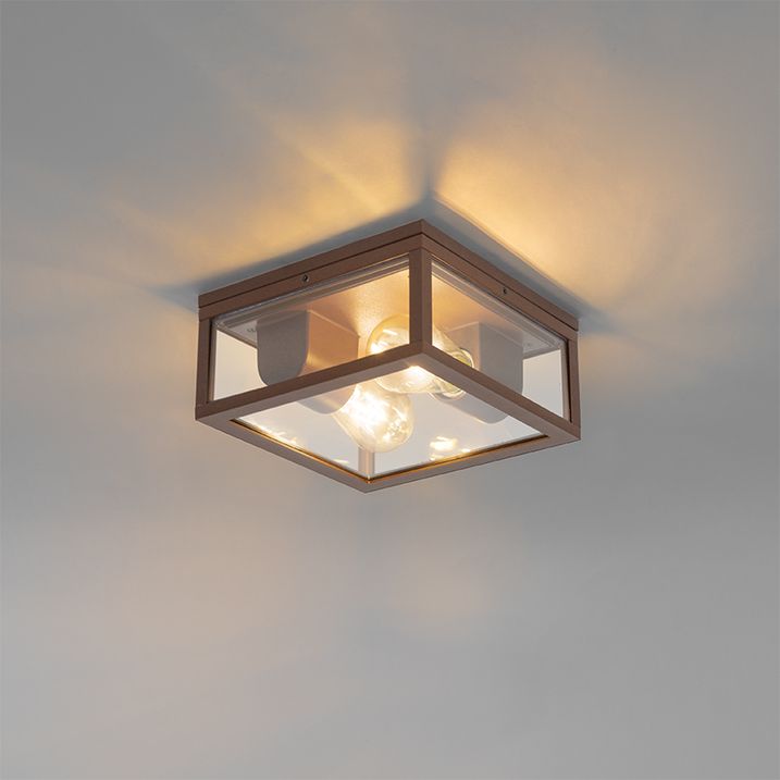 Industrijska plafonska lampa rđasto braon IP44 2-svetla - Charlois