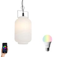 Suspension-extérieure-intelligente-blanche-20-cm-avec-Wifi-A60---Pion