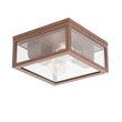 Industrijska-plafonska-lampa-rđasto-braon-IP44-2-svetla---Charlois