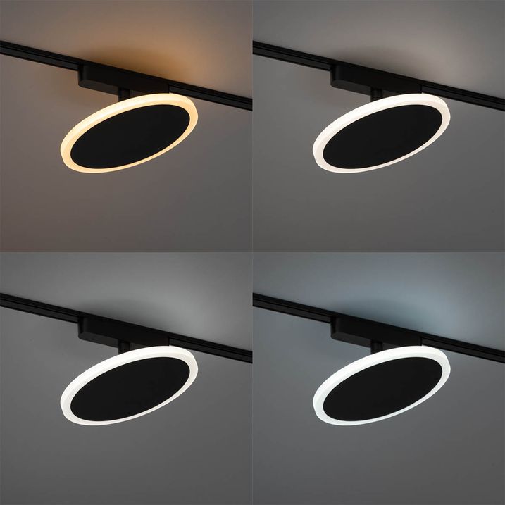 Spot moderne noir pour système de rail monophasé avec LED - Magnetic Puk