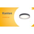 Nowoczesna-lampa-sufitowa-szara-z-białym-wykończeniem-38-cm-z-LED-z-funkcją-ściemniania-RGB---Kanton