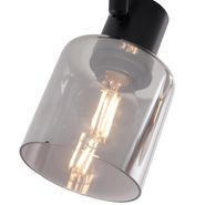 Сучасний-стельовий-світильник-чорний-з-круглим-димчастим-склом-2-light---Cilin