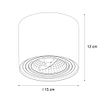 Spot-de-plafond-intelligent-blanc-rotatif-et-inclinable-avec-Wifi-GU10-111mm---Rondoo-Up