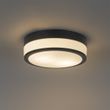 Moderne-udendørs-loftslampe-sort-28-cm-IP44---Flavi