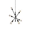 Viedā-industriālā-piekaramā-lampa-melna,-ieskaitot-6-WiFi-ST64---Sydney