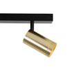 Ceiling-Spotlight-Black-with-Gold-Adjustable-2-Light---Jeana-Luxe