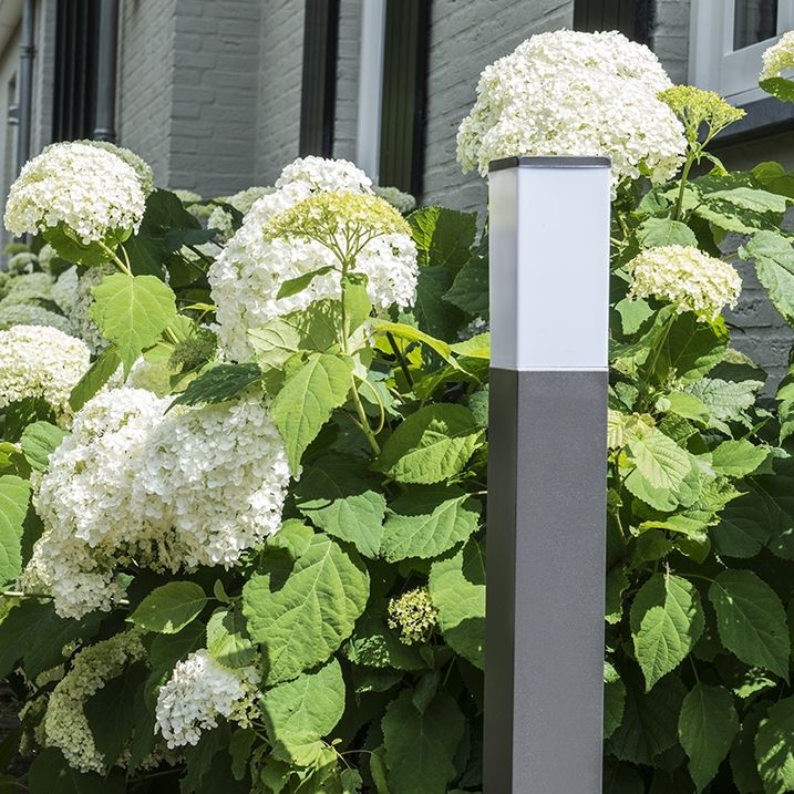 Moderne udendørs lampestolpe mørkegrå med opal 80 cm IP44 - Malios