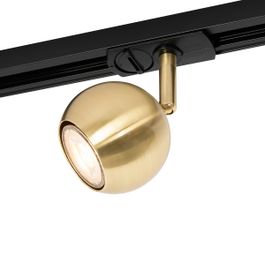 Modern 1-Phase Track Spotlight Black with Gold - Iconic Gissi