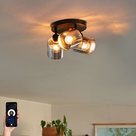 Faretto da soffitto smart nero con vetro fumé rotondo orientabile incl. 3 Wifi A60 - Laura