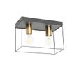 Minimalist-Ceiling-Light-Black-with-Gold-2-Light---Kodi