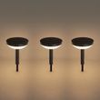 3er-Set-schwarze-Erdspießleuchten-inkl.-LED-Solar-IP44---Dottie