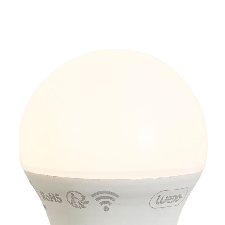Pametna E27 LED sijalica sa prigušivanjem P45 Opal 4.9W 470 lm 2200-4000K