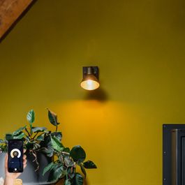 Spot de plafond intelligent bronze avec bois 18 cm incl. WiFi A60 - Mangoes
