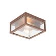 Industrijska-plafonska-lampa-rđasto-braon-IP44-2-svetla---Charlois