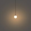 Moderne-hanglamp-zwart-met-wit-glas-voor-railsysteem-1-fase---Slimline-Eira