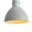 Suspension-intelligente-grise-30-cm-avec-ampoule-A60-wifi---Dory