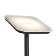 Modern-Floor-Lamp-Black-incl.-Dimmable-LED---Divana