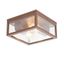 Industrijska-plafonska-lampa-rđasto-braon-IP44-2-svetla---Charlois