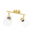 Plafondspot-goud-met-glas-2-lichts-verstelbaar---Laura