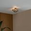 Design-plafondlamp-zwart-met-smoke-glas-3-lichts---Uvas