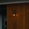 Klasiska āra sienas lampa melna IP44 - Daphne