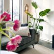 Design-Floor-Lamp-Black-with-Smoke-Glass---Qara-Down