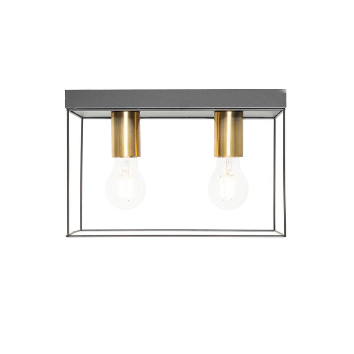 Minimalist Ceiling Light Black with Gold 2-Light - Kodi