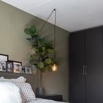 Design hanglamp zwart met stekker - Cavalux