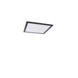Panou-LED-negru-40-cm-cu-LED-inclus-cu-telecomandă---Live