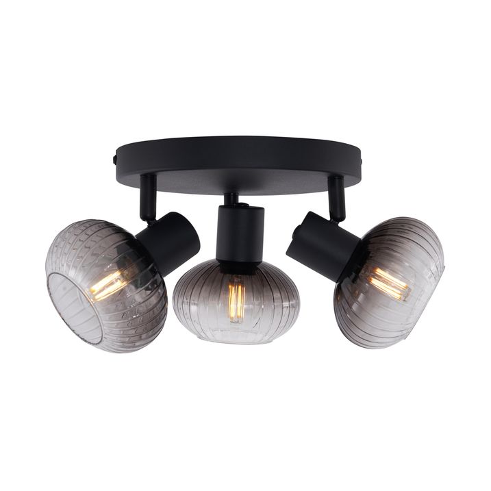 Modern Ceiling Spotlight Black with Round Smoked Glass 3-Light - Teddy