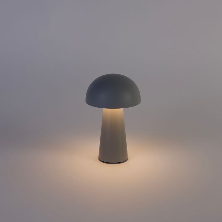 Table Lamp Grey Incl. Rechargeable LED and 3-Step Touch Dimmer IP44 - Daniel