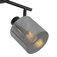 Candeeiro-de-teto-preto-com-vidro-fumê-2-luzes-ajustáveis---Laura