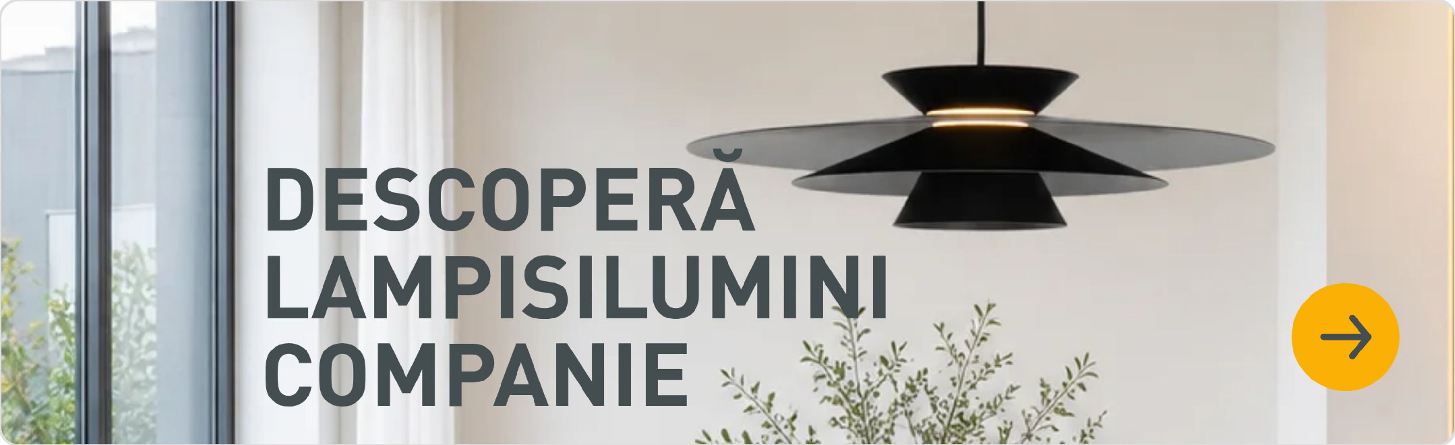Descoperă lampisilumini companie